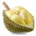 Fresh Durian Best Quality from Thailand