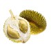 Fresh durian from Thailand high quality