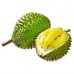 Durian Fresh cut