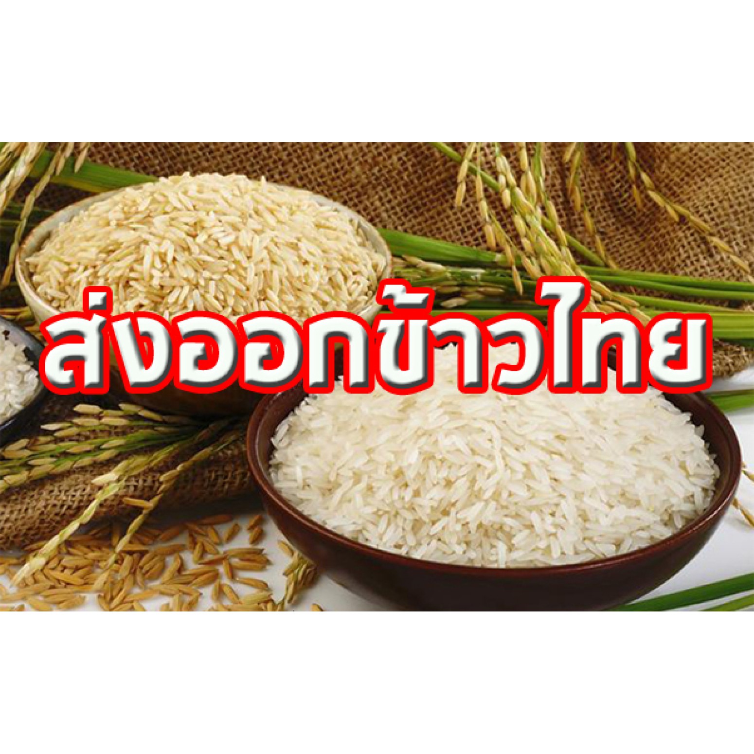 Thai rice exporter