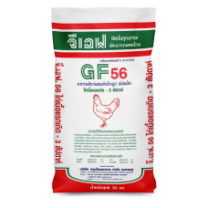 GF 56 Broiler chicks food