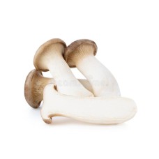 Eryngii Mushrooms From Thailand