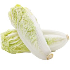 Fresh White Cabbage from Thailand