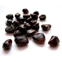 High Quality Tamarind Seed