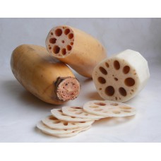 High quality Lotus Root from Thailand
