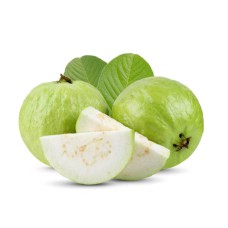 Fresh Guava Premium Grade