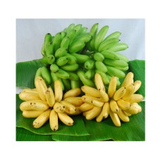 Fresh Thai Banana