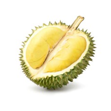 Durian Mon Thong
