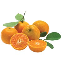 Fresh Orange Sai Nam Phueng