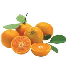 Fresh Orange Sai Nam Phueng