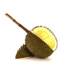 Durian Kan Yao from Thailand
