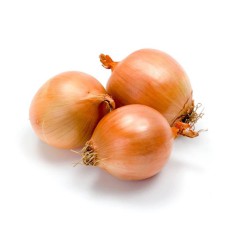 Red Onion From Thailand