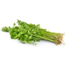 Fresh Celery From Thailand