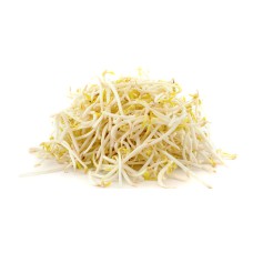 Fresh Bean Sprouts From Thailand