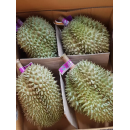 Fresh durian Monthong Thailand