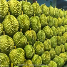 Thailand Premium Fresh Monthong King Durian For Sale