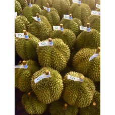 Premium Quality Monthong from Thailand Fresh Durians