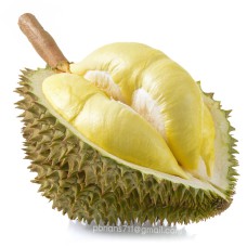 Thailand Premium Fresh Durian