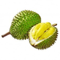 Fresh Cut Monthong Durian Export