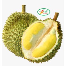 Durian fresh cut
