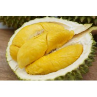Durian cut Thailand