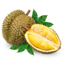 Durian Mon Thong From Thailand