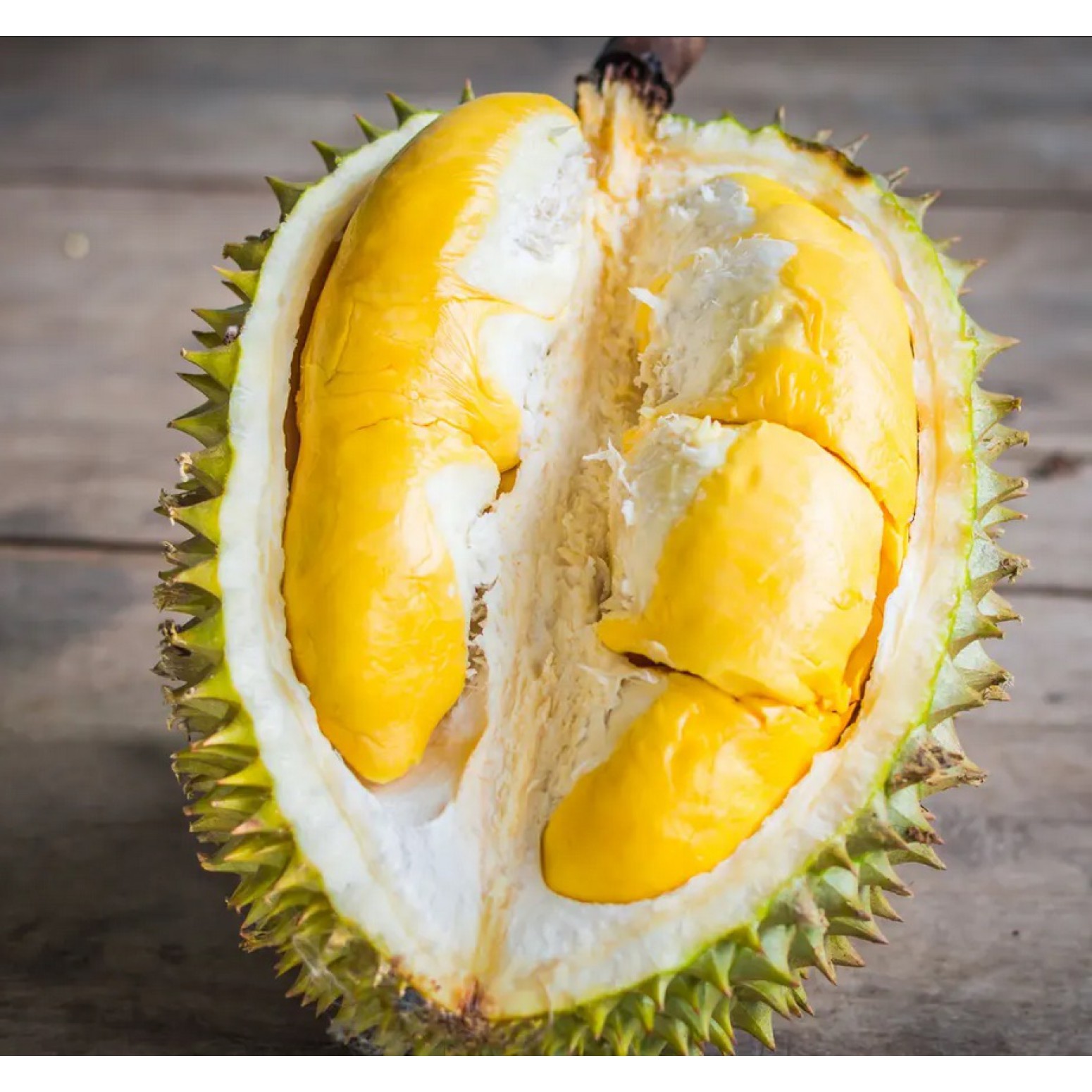 Durian High Quality From Thailand