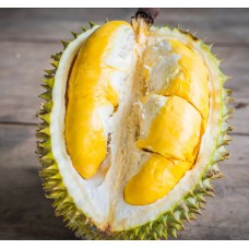Durian High Quality From Thailand