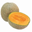 Cantaloupe Melon
