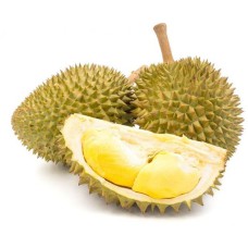Monthong Durian