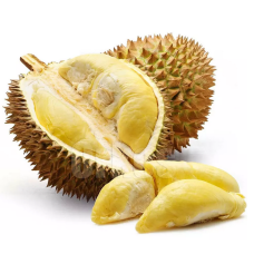 Monthong Durian Thailand Product