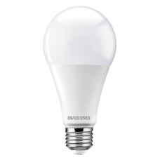 KATIE LED A65 15.5 W. White Light E27