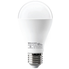 KATIE LED A65 18.5 W. White Light E27