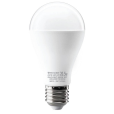 KATIE LED A70 20.5 W. White Light E27